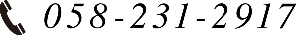 058-231-2917